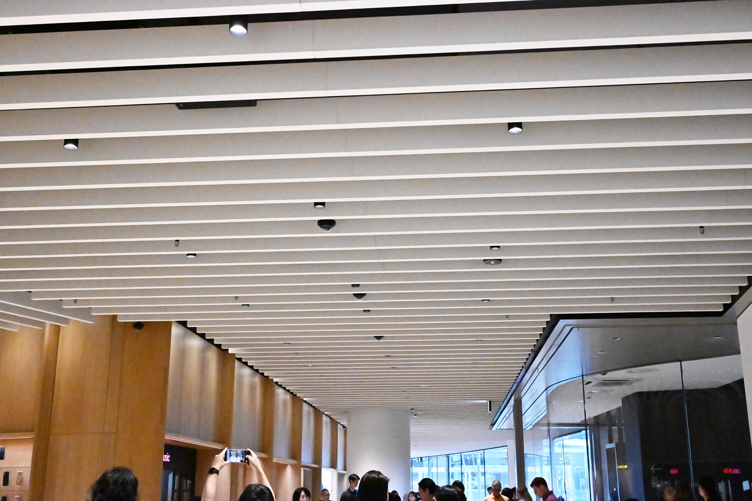 appleumeda-04.jpg Appleumeda 04