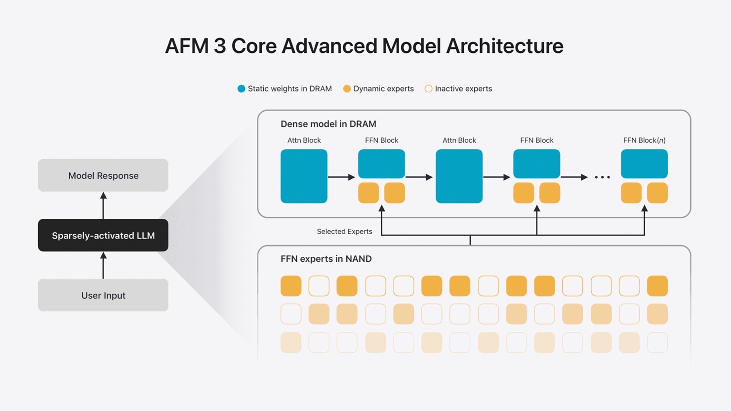 afm-01-1.jpg Afm 01 1