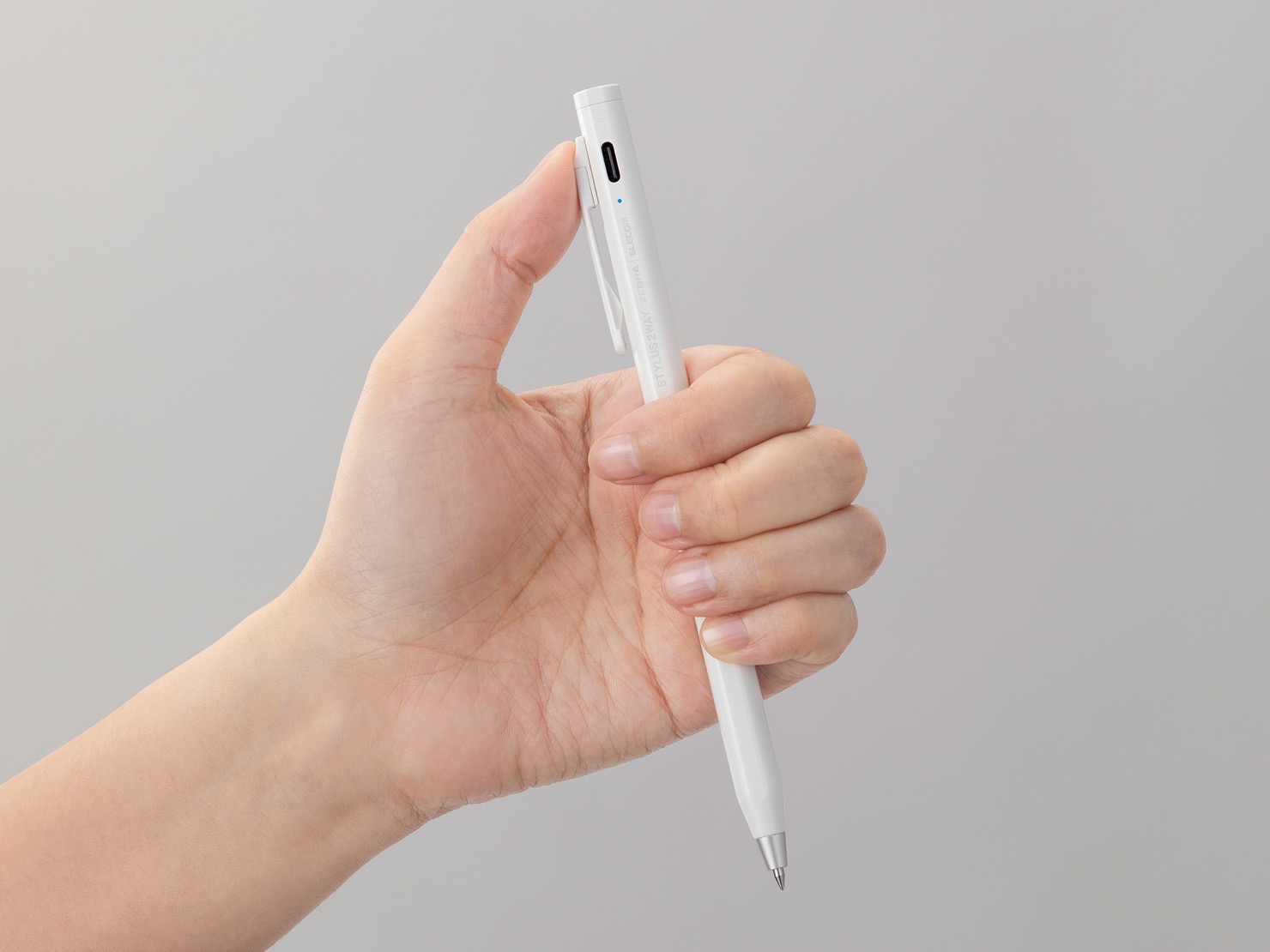 Zebra stylus 06