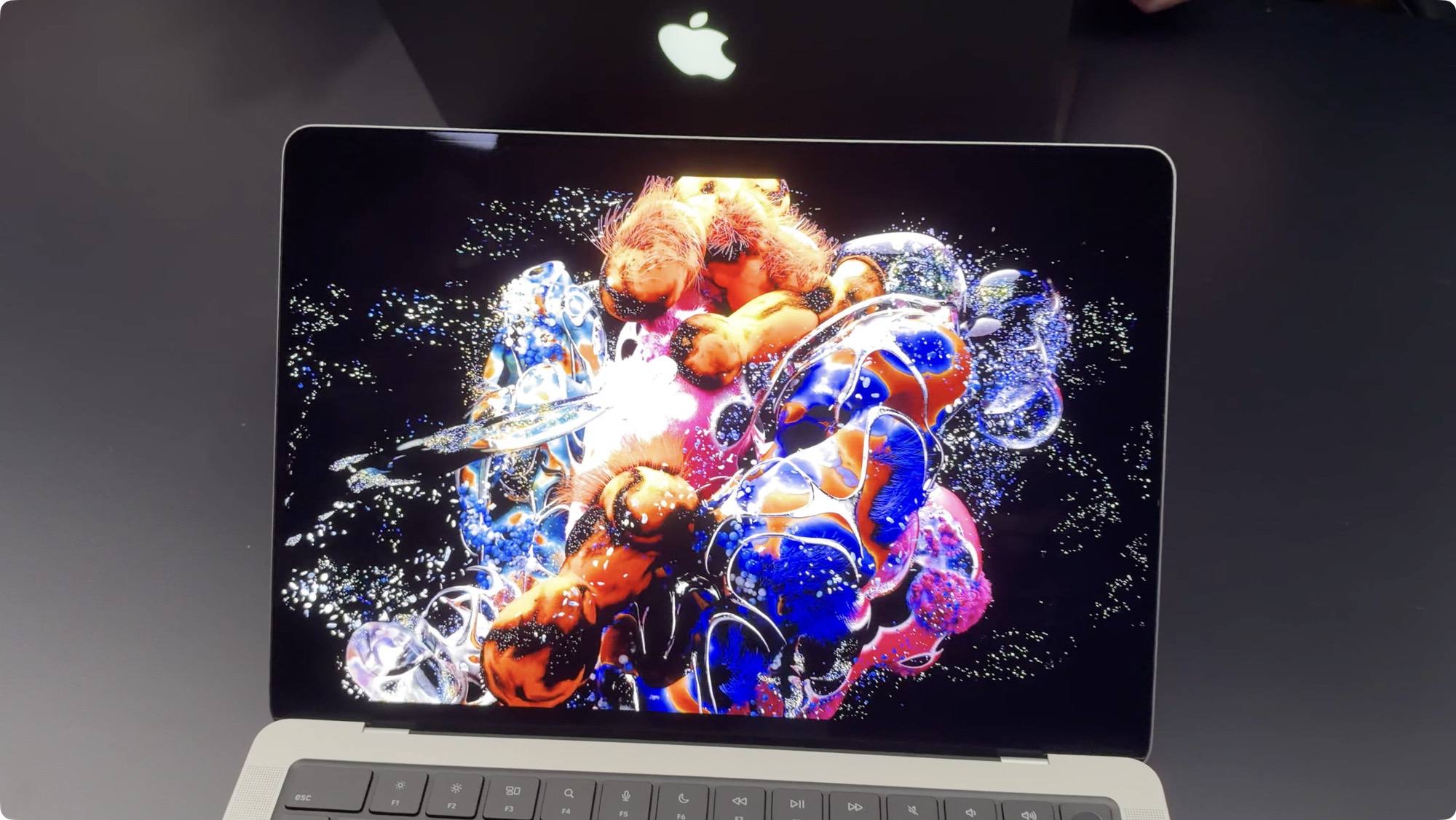 appleEx0003.jpg AppleEx0003